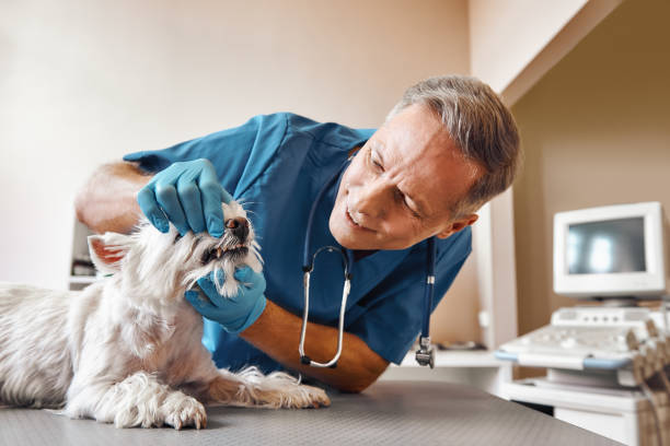 Best Emergency Root Canal Treatment in Hokendauqua, PA