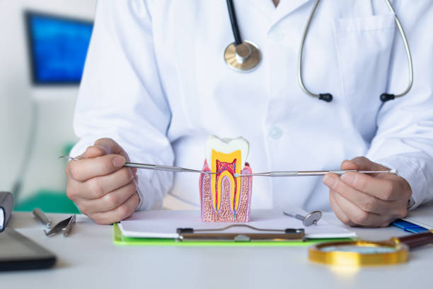 Best Emergency Tooth Extraction in Hokendauqua, PA